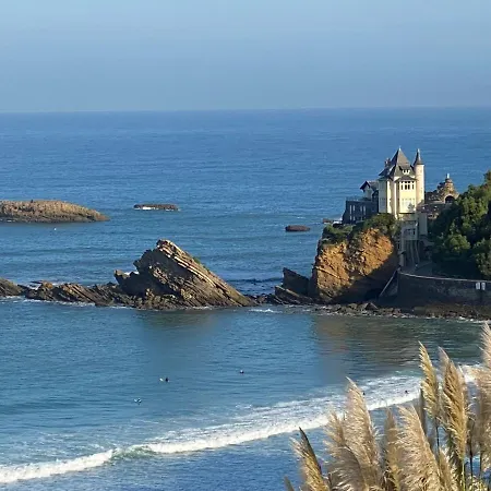 Cosy 4 Pers A 200 M Et Commerce La Cabane64