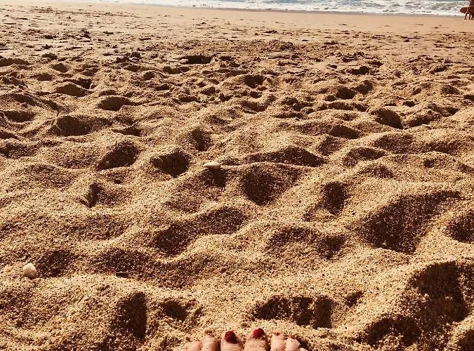 Апартаменти Cosy 4 Pers A 200 M Et Commerce La Cabane64